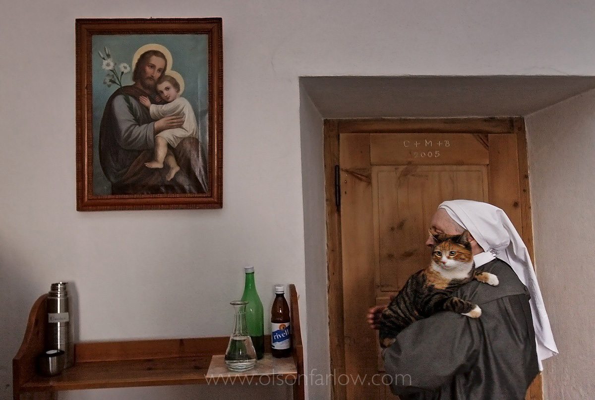 Nun Holds Convent Cat