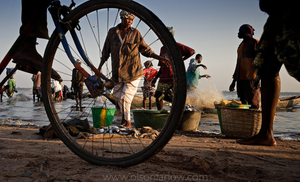 Women, Bicycle, Processing Fish, Senegal