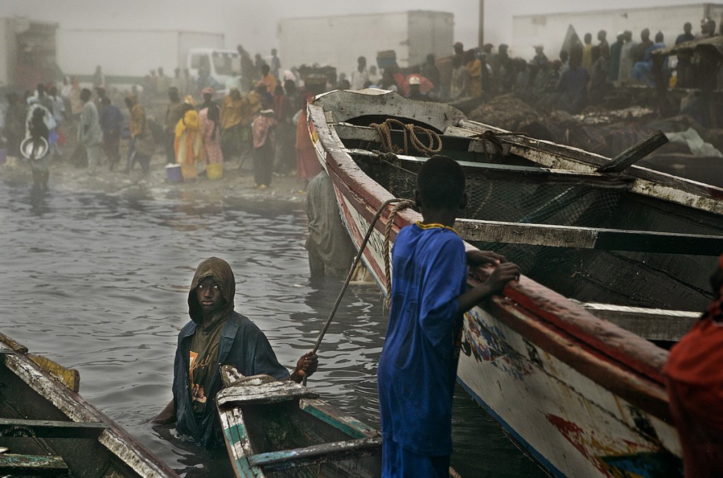 Senegal Fisherman, EU Freezer Trucks in Background