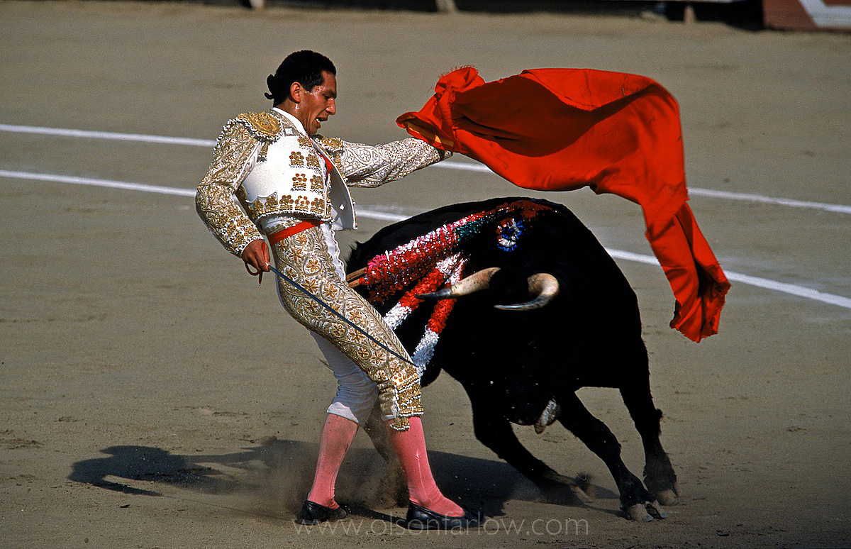 Peruvian Matador or BullFighter