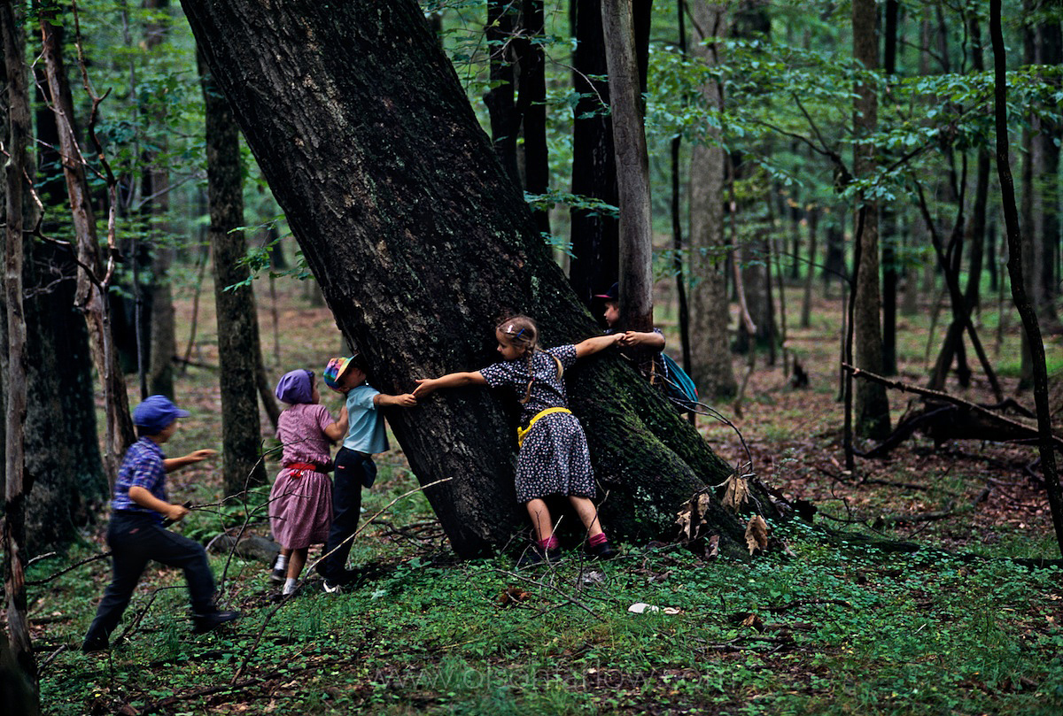 Children in the Forest
