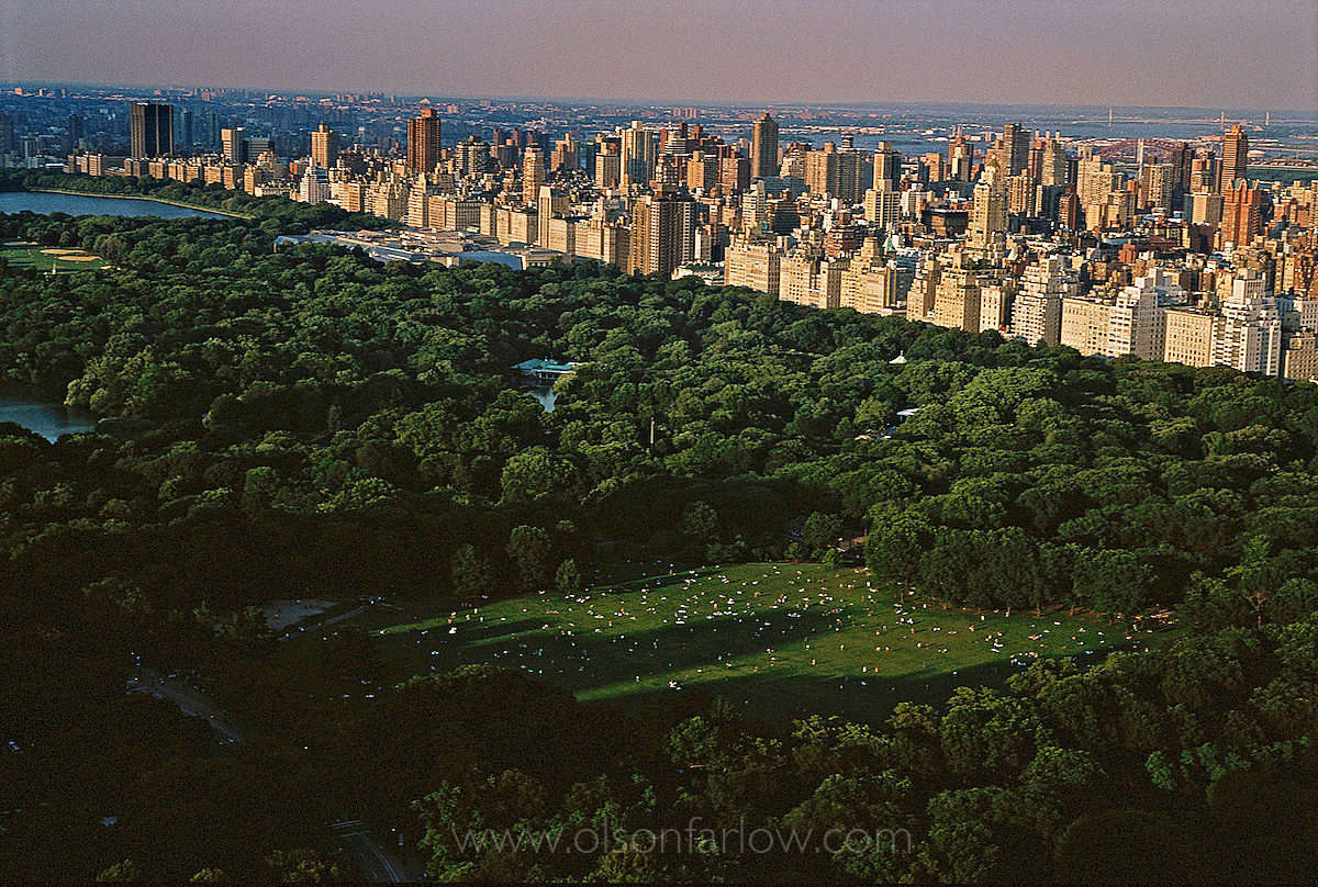 Sheep Meadow in NY Central Park